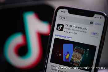TikTok is suing US government over potential ban