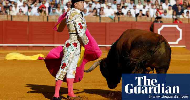 Bullfighting firm in Seville to give free tickets to under-eights