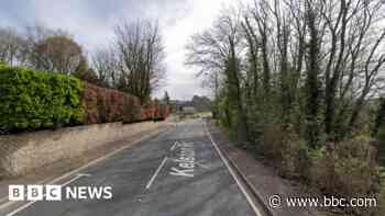 Children injured after bus collides with tree branch