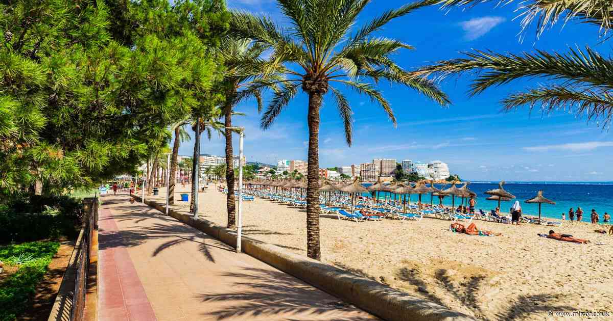 RAF serviceman arrested after 'raping British tourist in Magaluf' during rugby holiday