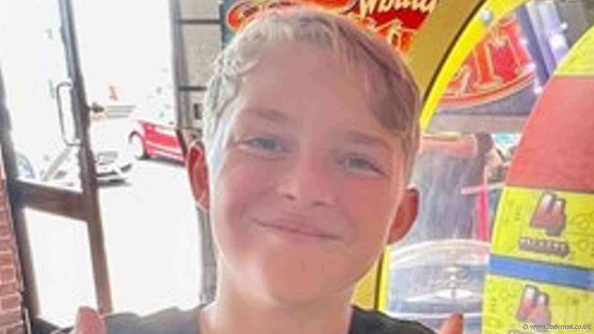 Boy, 12, 'may have tripped over' when he was hit by truck as he ran across busy road with friends, inquest hears