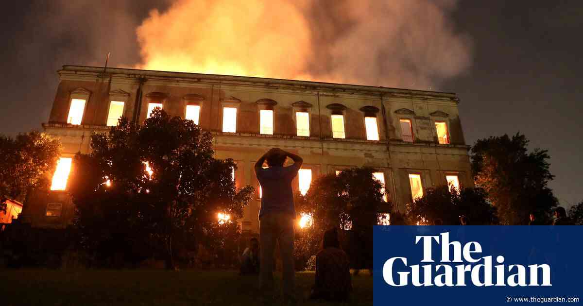 ‘Magical moment’ as fire-ravaged Brazil museum receives big fossil donation
