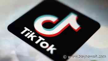 TikTok sues U.S. government to block potential ban