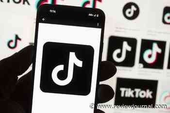 TikTok sues US over law to ban platform without sale