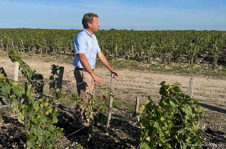 Bordeaux 2023 en primeur: Decoding the yields