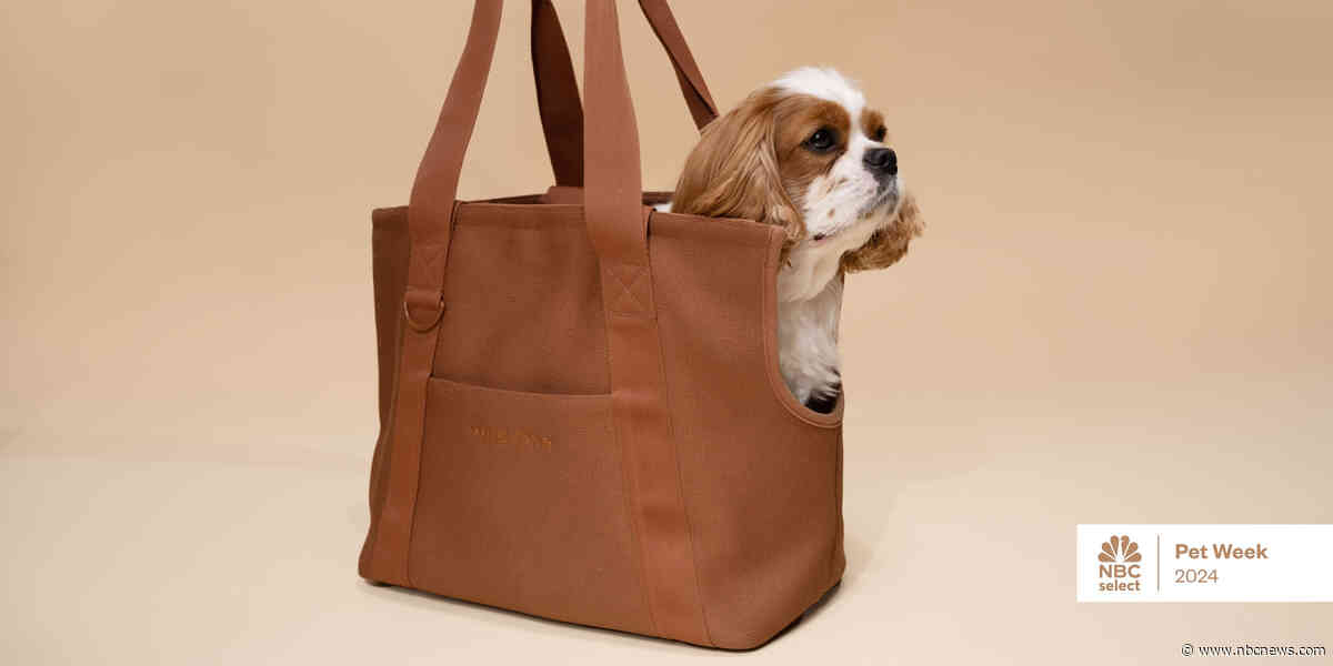 The best travel carriers for dogs, according to experts
