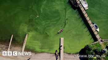 Tourist influx turns Windermere green - report