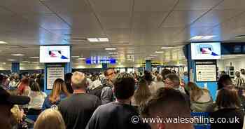 UK border control chaos as 'e-gates down' at Heathrow, Stansted, Gatwick and Manchester
