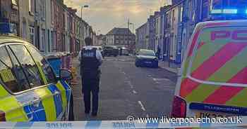 Police cordon off street after gang of kids 'fight with weapons'