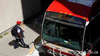 TTC increasing service on 24 bus routes, starting next week