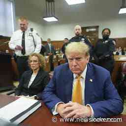 Stormy Daniels getuigt voor rechtbank in strafzaak Donald Trump