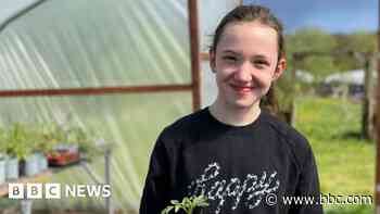 The farm giving young people a second chance