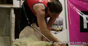 Hill End shearer sets women's world record