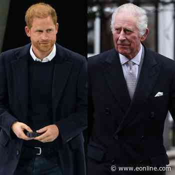 Why Prince Harry Won't Meet With King Charles During Visit to the U.K.