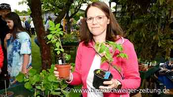 Startklar fürs Beet: Fünf Gartentipps für die Wolfsburger