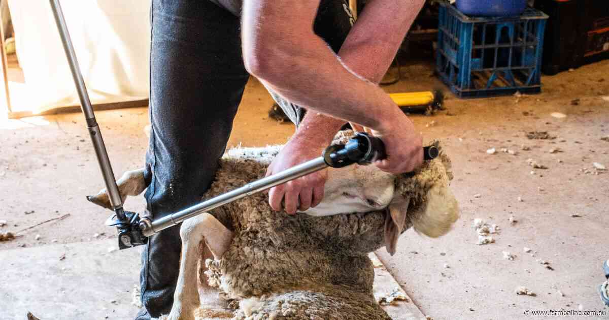 Shearer and wool classer qualifications under review