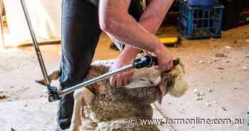 Shearer and wool classer qualifications under review
