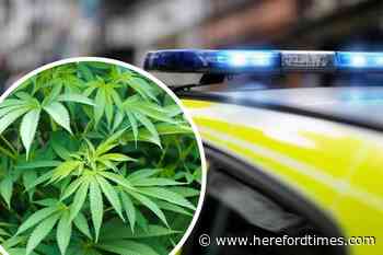 Abusive man was caught carrying cannabis in Hereford