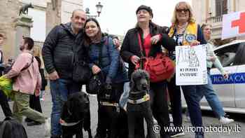 La campagna di Roma Capitale per l'accesso dei cani guida nei luoghi pubblici della città