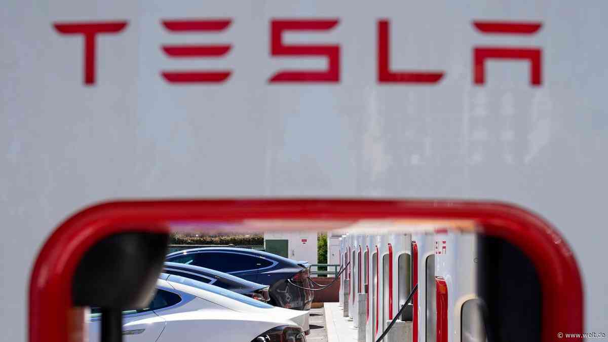 Tesla schickt Mitarbeiter wegen Protesten ins Homeoffice