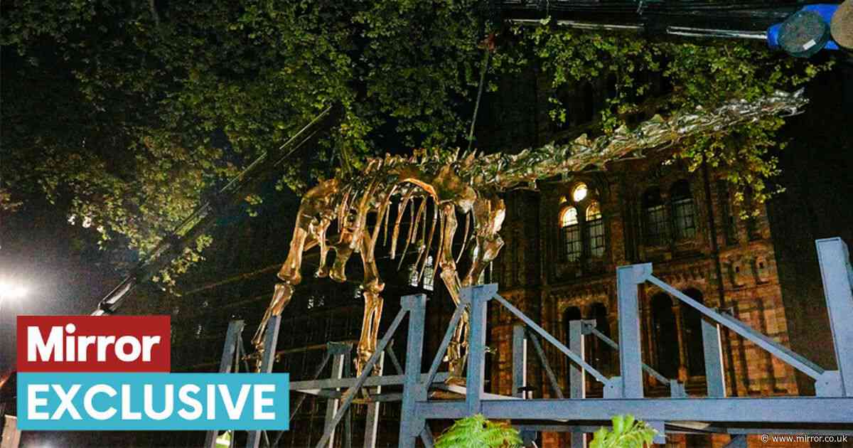 Huge dinosaur skeleton appears in London in middle of the night - with incredible story behind it