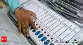 'Bahu' vs 'bahu' vs 'chacha sasur': Chautalas fight among themselves in Hisar Lok Sabha seat