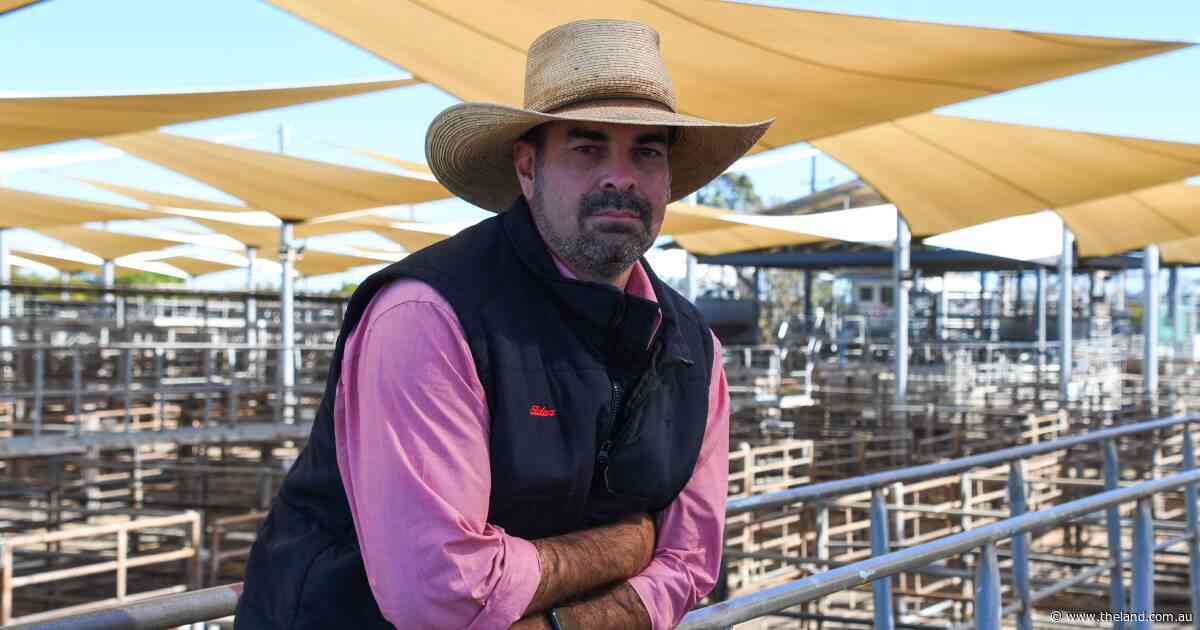 Dubbo stock and station agents plead for producers' help