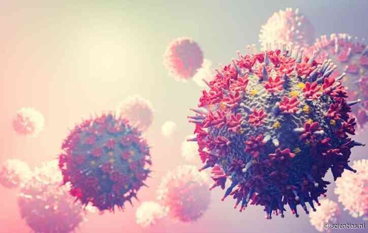 Nanobal vol eiwitten: nieuw vaccin werkt tegen toekomstige coronavarianten