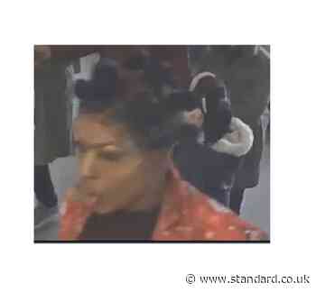 Hunt for woman who injured Tube passengers by swinging her handbag
