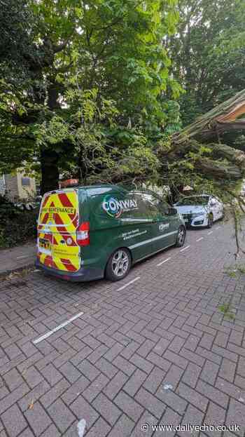 Cranbury Place, Southampton blocked after tree falls on van