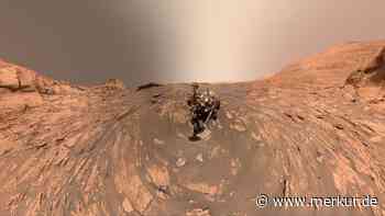 Lebensspuren auf dem Mars? Nasa-Rover findet wichtiges Element in hoher Konzentration