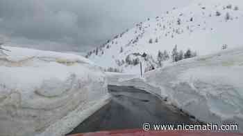 Jusqu'à 2 mètres de neige, les impressionnantes images de la route du col de la Cayolle rouverte à la circulation