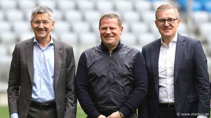 Chaotische Trainersuche: Bayern-Bosse stehen in der Kritik
