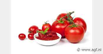 Hoeveel tomaten zitten er in een blikje tomatenpuree?