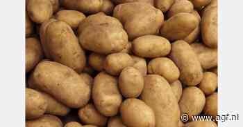Afgekeurde aardappelen gaan naar Oekraïne voor soep