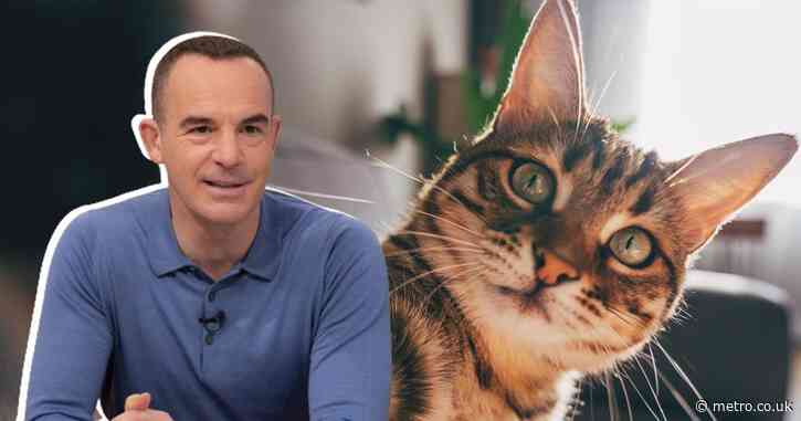 Martin Lewis warns cat owners about potential £500 fines