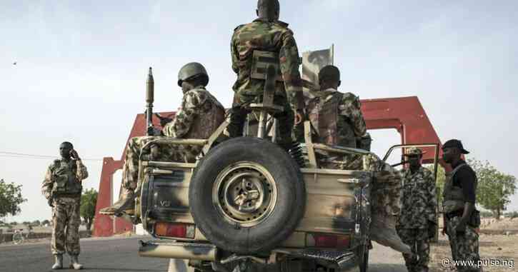 Kaduna soldiers unlawfully kills 12 people, seize 518 cows, 177 rams and sheep's