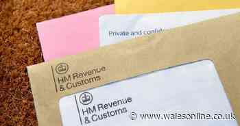 HMRC tax update as people can check for refunds
