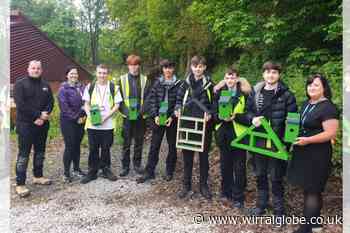 Students' bird boxes and bug hotels for Clatterbridge centre