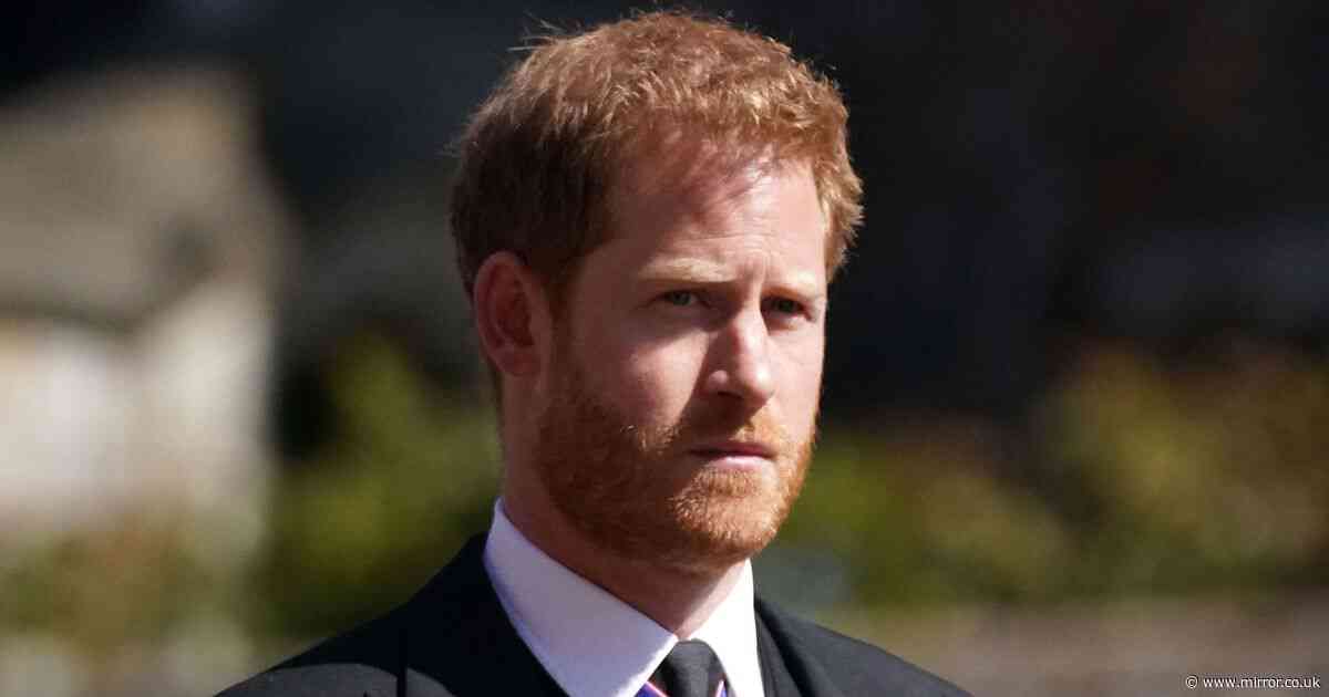 Prince Harry in fresh blow as plan to expand charity in US thwarted in trademark dispute