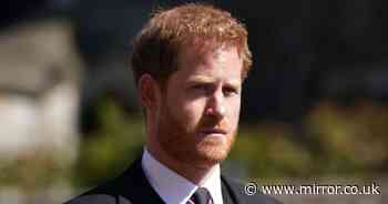 Prince Harry in fresh blow as plan to expand charity in US thwarted in trademark dispute