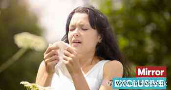 Hayfever sufferers warned of exact date pollen levels will skyrocket amid 26C 'mini-heatwave'