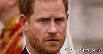 'Common parental decency demands King Charles should meet with Prince Harry'