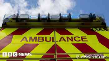 Crews assess pupils at scene of school bus crash