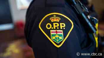 OPP to detail investigations into online child sexual abuse
