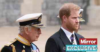 Prince Harry remains 'bottom of list' with King Charles after 'gut punch' snub, says expert