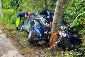 Auto belandt tegen boom in Wimmertingen
