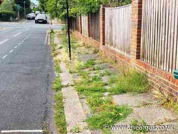 Brighton and Hove City Council to start using weedkiller again