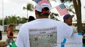 Florida, federal government tangle over immigration case