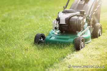 Common mistake to 'never' make when mowing your lawn - or risk severe damage